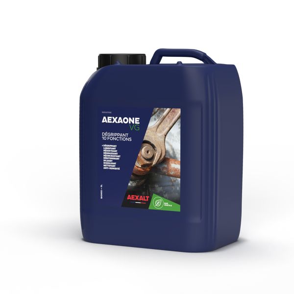 AEXAONE VG - Image 2