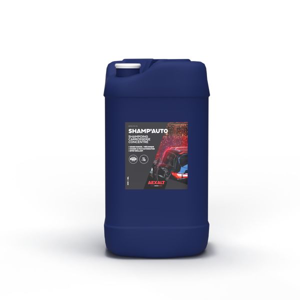 SHAMP'AUTO - Image 3