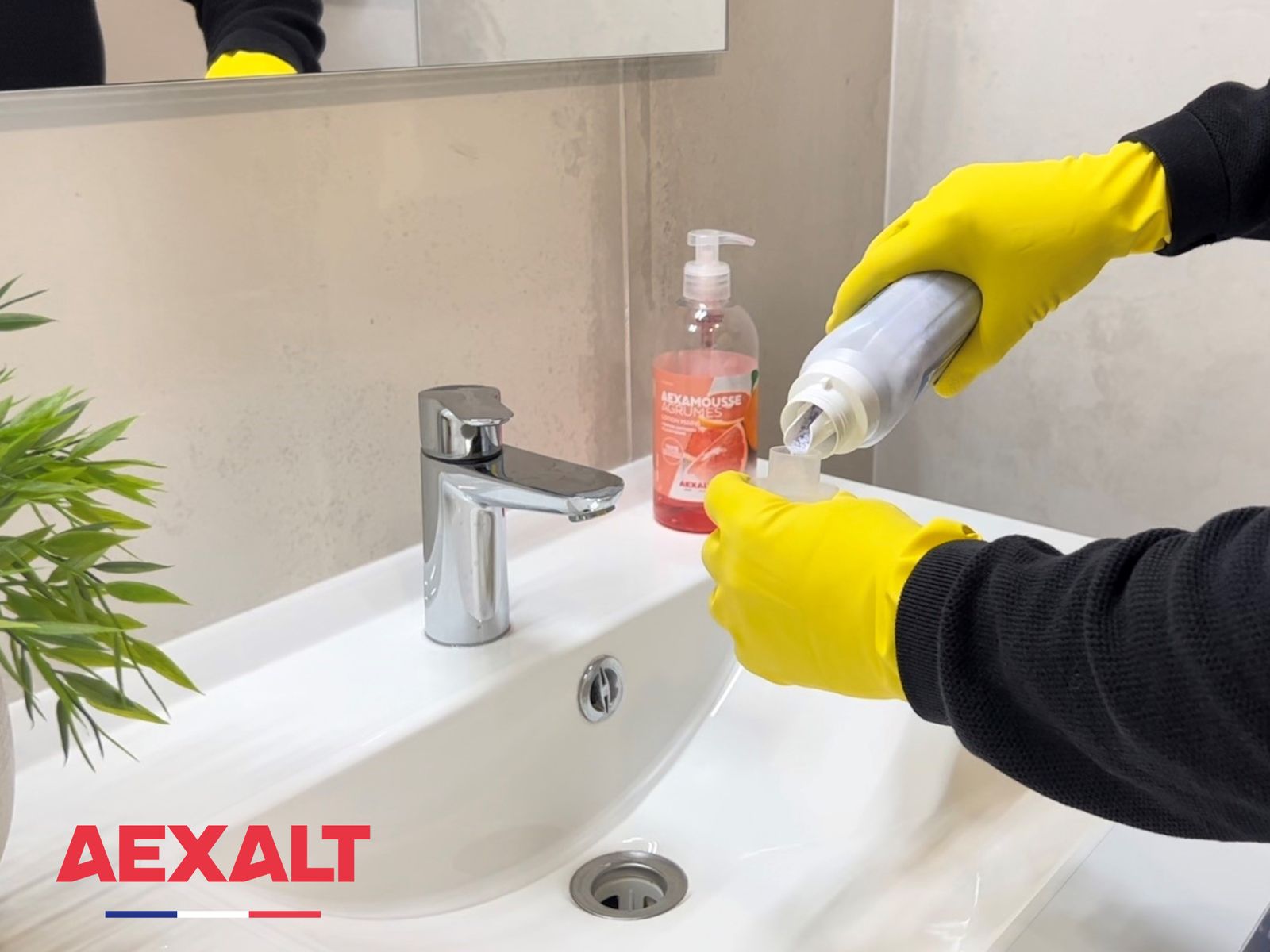 PRO'DEBO PERLES - Image 3